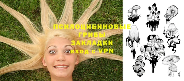 метадон Белокуриха