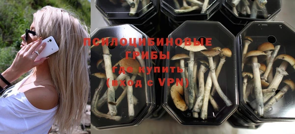 метадон Белокуриха