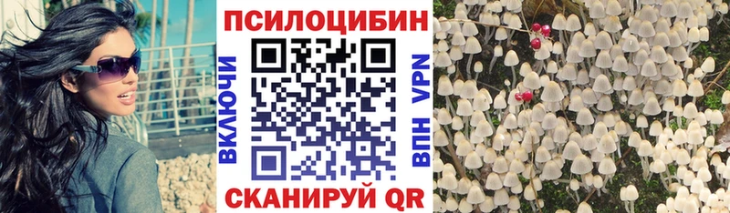 Псилоцибиновые грибы прущие грибы  наркошоп  Красноперекопск 